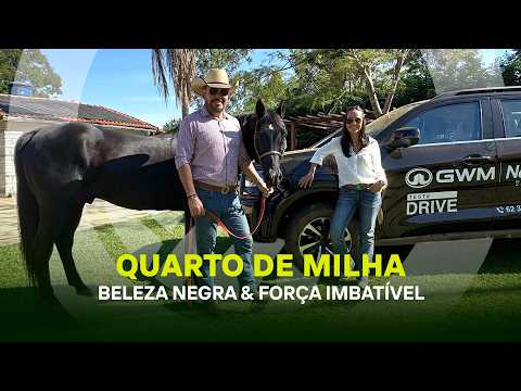 PRODUZ - EP. 88 | COMO PRODUZIR UM QUARTO DE MILHA PELAGEM PRETA ? RARIDADE , BELEZA E FORÇA JUNTOS