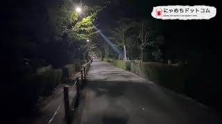 青山霊園 心霊スポット レポ 行ってみた！ ②