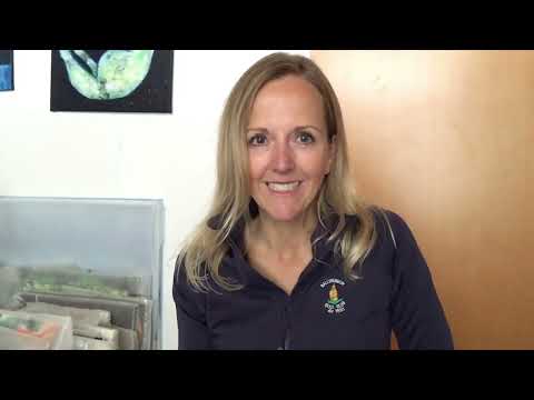 Hochbegabung und Erklärung eines Testprofils - Clever People GmbH mit Dr. Karin Joder