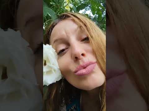 Marina75 (Tiktok) - I Love You Baby - MD Dj. feat. Larianna