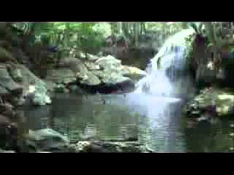 Los Diamantes del Norte - El más querido