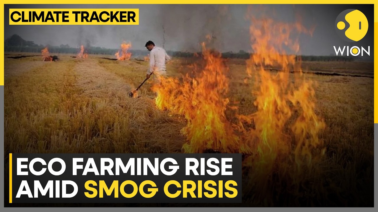 Thailand Seeks Cleaner Farming Solutions | WION Climate Tracker