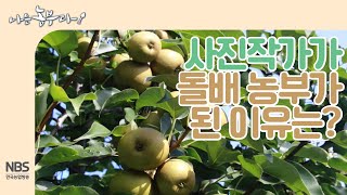 [나는농부다 218회] 사진 작가가 돌배 농부가 된 이유는?