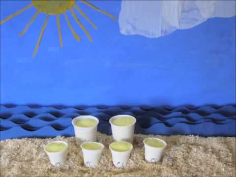 Che guarirsi di vermi Il tansy a vermi è possibile per bambini