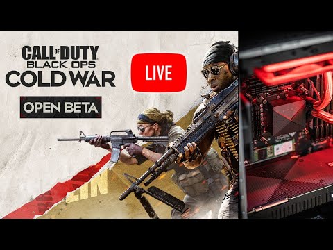 PC Call of Duty: Black Ops Cold War Beta at 4k