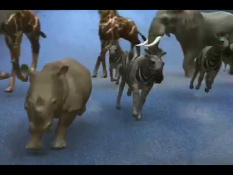 August Hylse - Katt och vilda djur på Hulta Ronneby (FX Guru - iPhone 6)