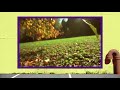 Leaves Fall From The Trees Fall Spot Nickelodeon U S