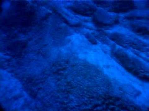 Imagen de previsualización de YouTube