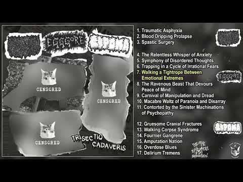 Liquid Viscera / Egggore / Lipoma - Trisectio Cadaveris split CD FULL AlBUM (2025 - Goregrind)