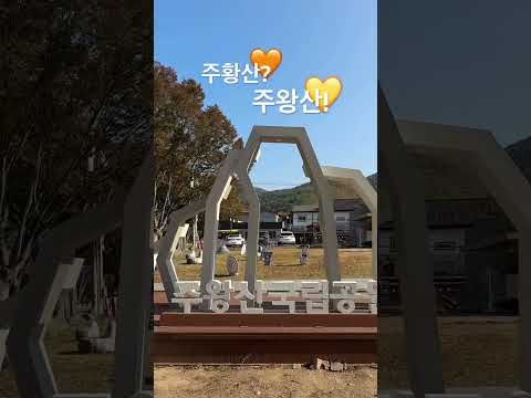 ‘주왕산’이 아니라 ‘주황산’?! 2025.11.5.실시간