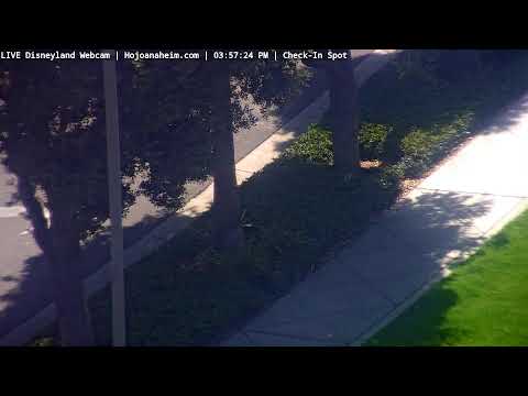 Live webcam of Disneyland Cam
