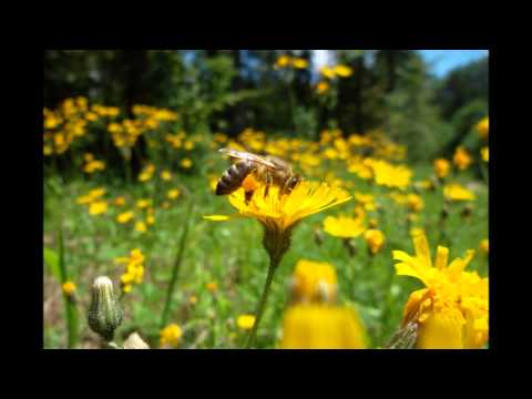 Naturpark Obere Donau - Sommer 2012 / 2013