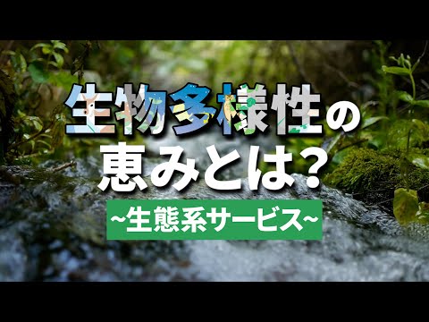 生物多様性の推進 自然と動物