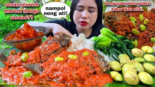 Download lagu AUTO SEDAP! 1KG IKAN NILA SAMBAL PEDAS TEMPOYAK PETE LALAPAN MENTAH JENGKOL MUDA mp3