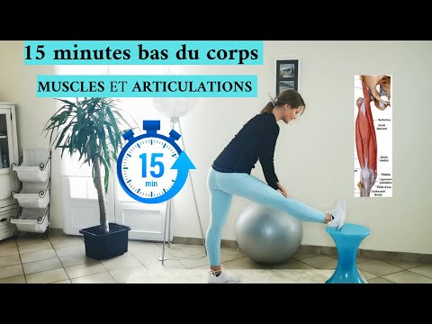 Renforcer efficacement vos muscles pour protéger vos articulations. 15 minutes bas du corps