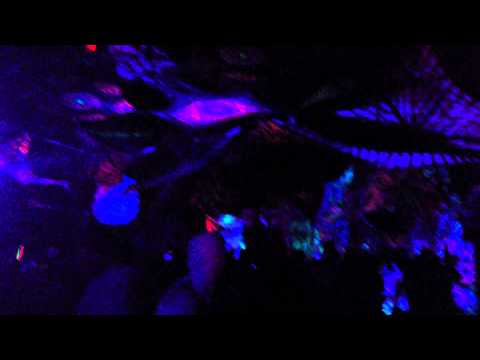 Organoise ,12 Masters of Puppet 2015 Hungary 7.6  00:21