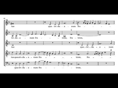 Video thumbnail for Beatae Mariae Magdalenae