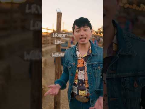 Di chuyển ngang là gì? (What is horizontal mobility?)