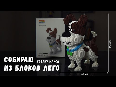 СОБИРАЮ 3D СОБАКУ МАКСА ИЗ БЛОКОВ ЛЕГО XINZ