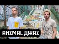 Animal Джаz – мировой стрит-арт и русская музыка / вДудь Animal Джаz – мировой стрит-арт и русская музыка / вДудь