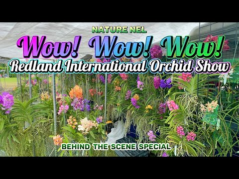 “Behind-the-Scenes at the Redland International Orchid Show” October 17-19, 2025