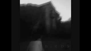 BIRDS ''Blind''