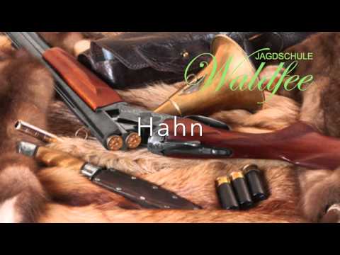 Hahn in Ruh (Aufhören zu schießen) - 3. Sicherheitsrelevantes Jagdhornsignal