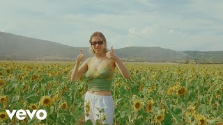 Dans La Moyenne Lyrics English Translation
