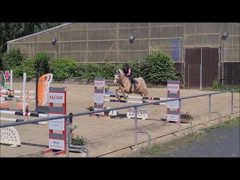 Malu (11) und Dancer - Training am in Elz 21.06.2020