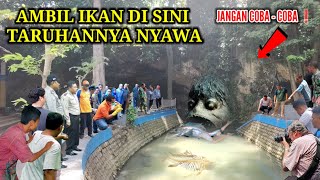 Download lagu Geger !! Setelah Gempa Bumi Tuban Muncul Binatang Aneh Pembawa Petaka|| ikan Berkepala Sama Duri mp3 Download lagu Geger !! Setelah Gempa Bumi Tuban Muncul Binatang Aneh Pembawa Petaka|| ikan Berkepala Sama Duri mp3