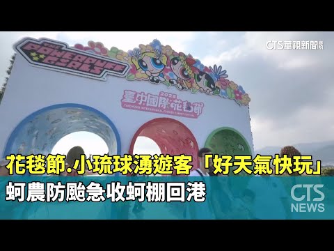 花毯節.小琉球湧遊客「好天氣快玩」　　蚵農防颱急收蚵棚回港