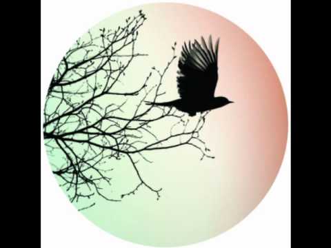 Video thumbnail for Beneath The Tree