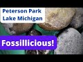 Peterson Park Brings It Fossilicious Lake Michigan Beach