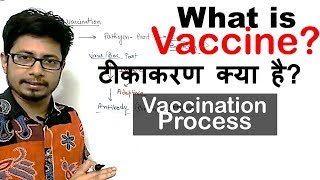 What is vaccination | vaccine kya hai? | How vaccines work?