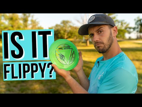 Best Streamline Disc For Beginners - Ascend Disc Review