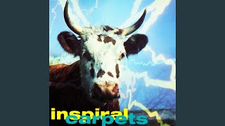 Commercial Reign (Hog Battered Mix)