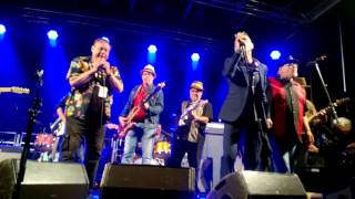 Dr Feelgood &amp; Duke Robillard &amp; Wentus Blues Band: Route 66.