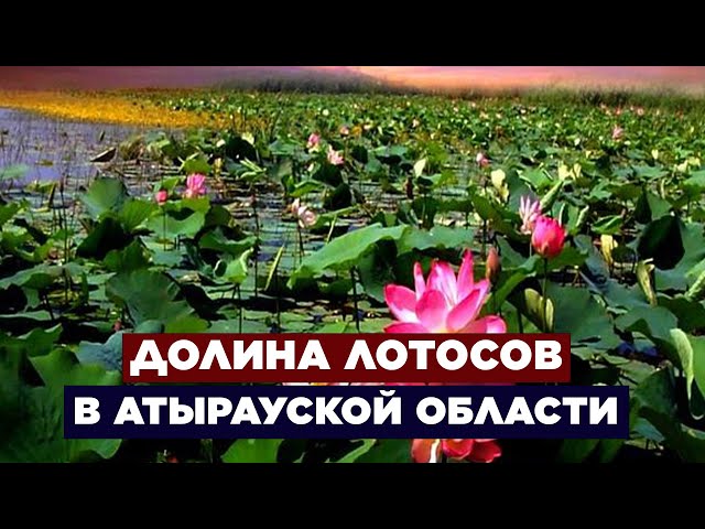 Новости. Выпуск от 16.08.2023 г.