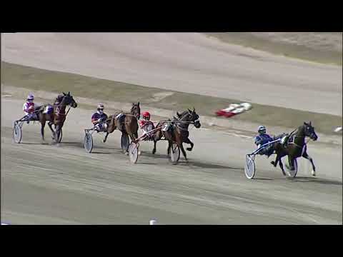 Napoli Trotto 19/09/2023 - 2ª prova di qualifica