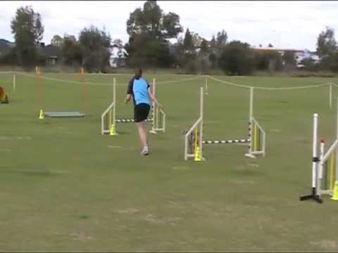 Dogs West Fundraiser 2012 - Lucy Excellent Jumping