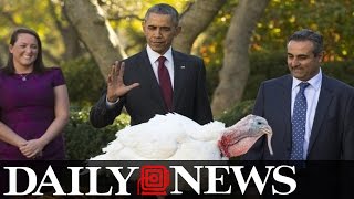 Sasha and Malia Crack Up Laughing During the President's Turkey Pardon