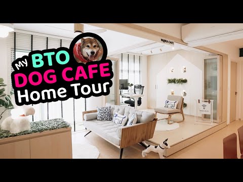 HDB HOME TOUR | How To Renovate A Fun & Cosy Dog Cafe Concept 4 Room BTO – 86sqm