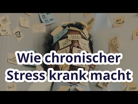 Wenn der Körper nein sagt: Wie chronischer Stress krank macht von Gabor Maté