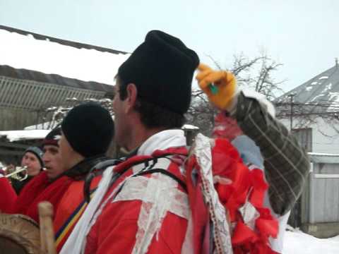 capra din dumbravita