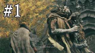 いざ狭間の地へ 【ELDEN RING】#1