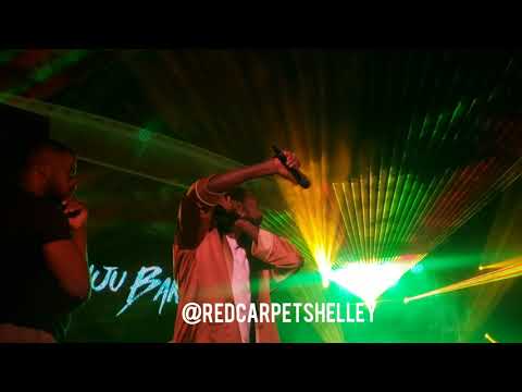 Buju Banton Performs at Welcome to Jamrock Reggae Cruise 2019