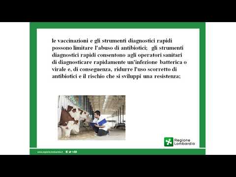 , title : '18 A Vitali Il sistema dei controlli dell'Autorità competente ed il veterinario aziendale  ispezioni'