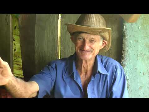 A HORTA DO SEU CACILDO - FRANCA SP