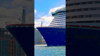 Carnival Celebration 🛳️ #share #like #subscribe #comment #cruise #vacation #shortvideo #shortsvideo