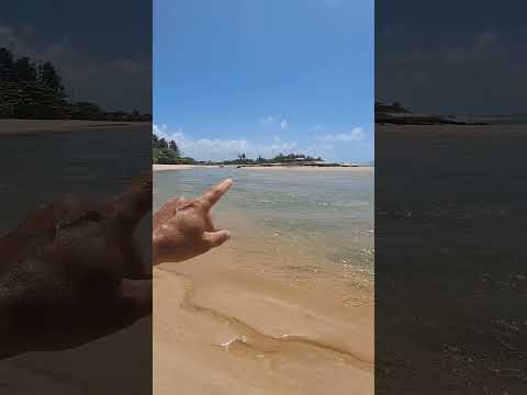 Dicas de um nativo sobre o rio Duas Barras #dicas #rio #paisagem #natureza